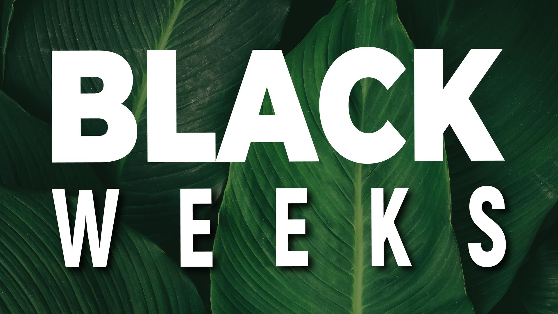 BC Music Resort™ (Recommended for Adults) Apartments Benidorm BC Music Resort™ (Recommended for Adults) Apartments Benidorm