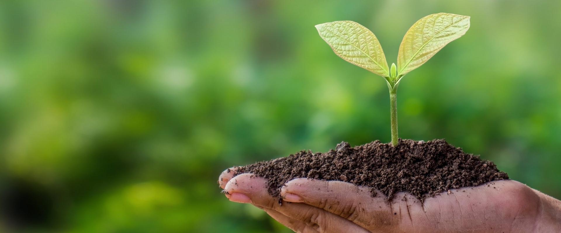 ENJOY A SUSTAINABLE HOLIDAY BC Music Resort™ (Recommended for Adults) Apartments Benidorm ENJOY A SUSTAINABLE HOLIDAY BC Music Resort™ (Recommended for Adults) Apartments Benidorm