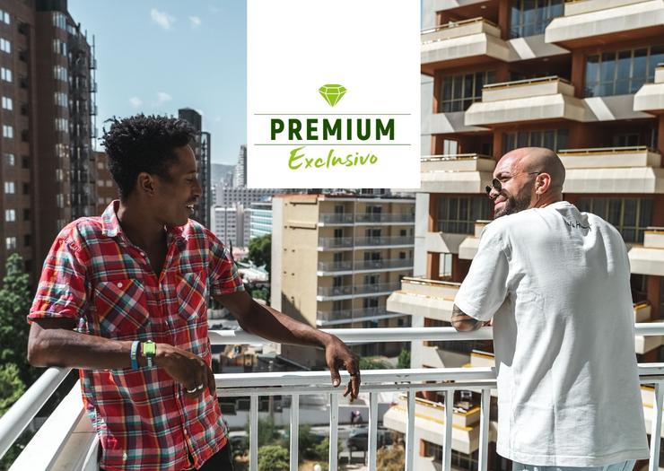 Apartment Standard (Living Room + 1 Bedroom + Terrace) 6/6 PREMIUM BC Music Resort™ (Recommended for Adults) Apartments Benidorm Apartment Standard (Living Room + 1 Bedroom + Terrace) 6/6 PREMIUM BC Music Resort™ (Recommended for Adults) Apartments Benidorm